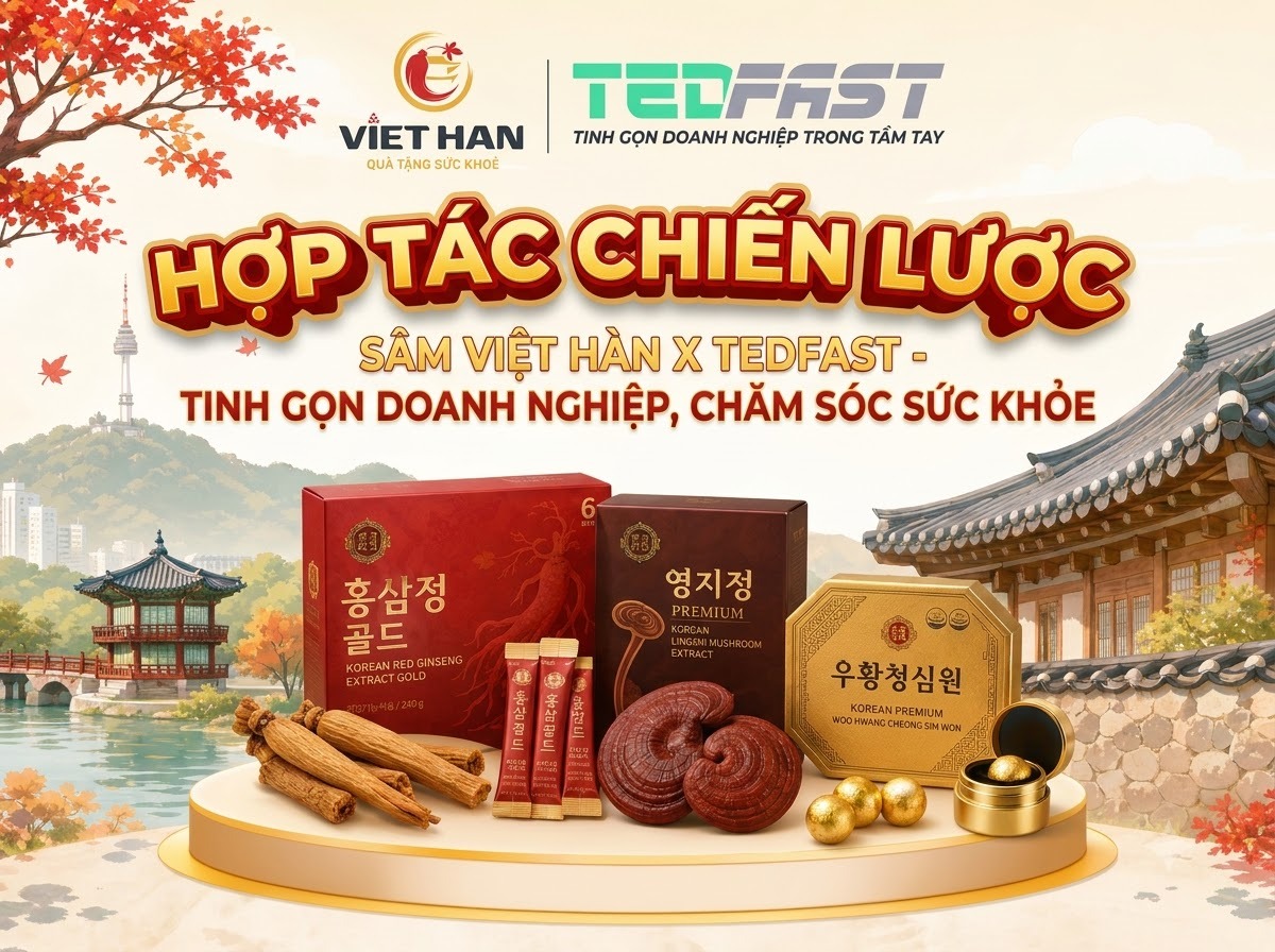 Tedfast.vn